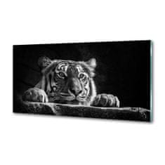 Wallmuralia Skleněný panel do kuchyně Tygr 100x50 cm