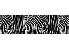 AG Design Samolepící bordura Zebra 5 m x 13,8 cm, WB 8205