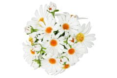 Autronic Kopretina, barva bílá. Květina umělá. KT7050 WT, sada 4 ks