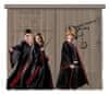 Harry Potter , záclony, pro dětské pokoje, 180 x 160 cm, FCSXL321 - 410