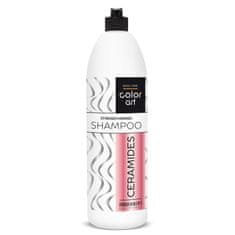 PROSALON Prosalon Color Art zpevňující šampon s ceramidy 1000 ml
