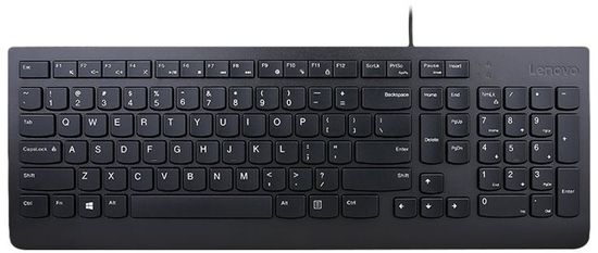Lenovo Essential, černá (4Y41C68691)