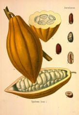LaProve CacaOn - Kostka s ampule s kakaovými boby pro energii z kofeinu a theobrominu