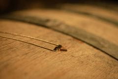 BeWooden Dámský náhrdelník s dřevěným detailem z vinného sudu White Wine Silver Necklace