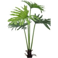 Europalms Filodendron palma, 120 cm