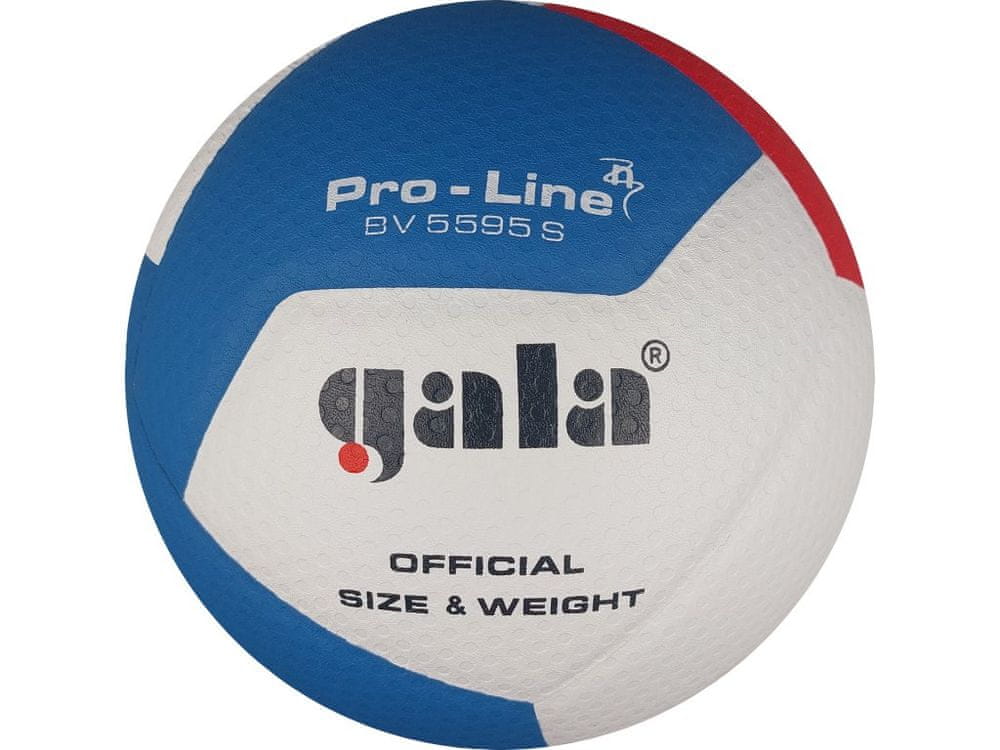 Levně Gala volejbalový míč Pro line 12 - BV 5595 S