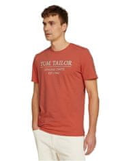 Tom Tailor Pánské triko Regular Fit 1021229.11834 (Velikost S)