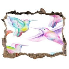 Wallmuralia Díra 3D foto tapeta nálepka Kolibříky 120x81 cm