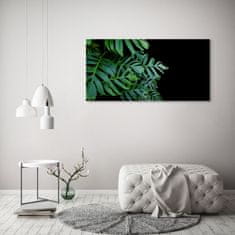 Wallmuralia Foto-obraz canvas do obýváku Monstera 120x60 cm