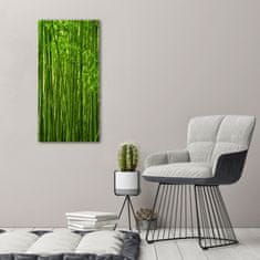 Wallmuralia Foto-obraz canvas do obýváku Bambusový les 50x100 cm