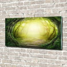 Wallmuralia Fotoobraz na skle Tunel ze stromů 100x50 cm 2 úchytky