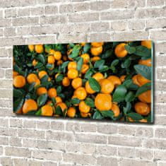 Wallmuralia Foto obraz skleněný horizontální Mandarinky 120x60 cm 4 úchytky