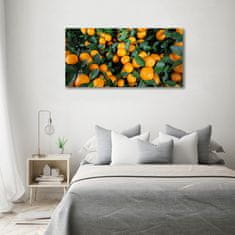 Wallmuralia Foto obraz skleněný horizontální Mandarinky 120x60 cm 4 úchytky
