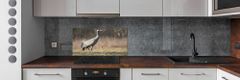 Wallmuralia Skleněný panel do kuchyně Volavka 100x50 cm