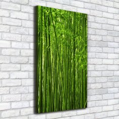 Wallmuralia Foto-obraz canvas do obýváku Bambusový les 50x100 cm