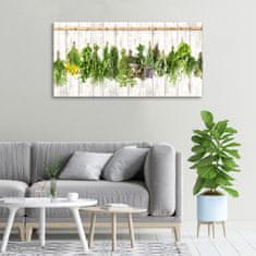 Wallmuralia Foto-obraz canvas do obýváku Bylina na provázku 100x50 cm