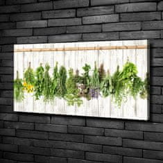 Wallmuralia Foto-obraz canvas do obýváku Bylina na provázku 100x50 cm