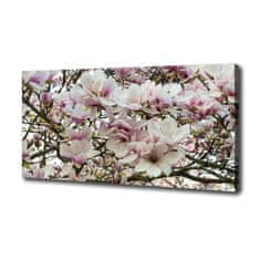 Wallmuralia Foto-obraz canvas do obýváku Květiny magnolie 125x50 cm