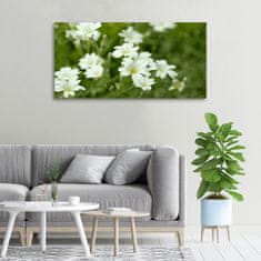 Wallmuralia Foto obraz canvas Jarní květiny 100x50 cm