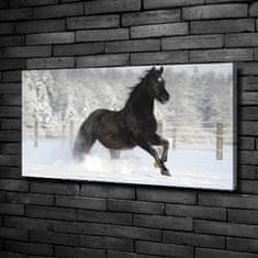 Wallmuralia Foto obraz canvas Kůň ve cvalu sníh 100x50 cm