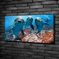 Wallmuralia Foto obraz canvas Delfíny 100x50 cm
