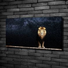 Wallmuralia Foto obraz canvas Lev na pozadí hvězd 100x50 cm