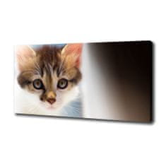 Wallmuralia Foto obraz canvas Malá kočka 100x70 cm