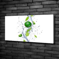 Wallmuralia Foto obraz canvas Limetky a voda 100x50 cm