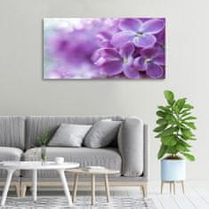Wallmuralia Foto obraz canvas Květ bzu 100x50 cm