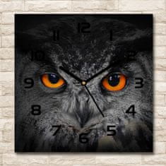 Wallmuralia Skleněné hodiny oči sovy 30x30 Oči sovy černé 30x30 cm