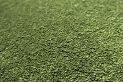 Neušpinitelný kusový koberec Nano Smart 591 zelený 60x100