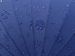 Kraftika 1ks 19 bordó sv. dámský deštník kouzelný s květy
