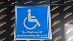 AUTOSAMOLEPKY.cz Samolepka Vozíčkář v autě 10 cm (invalida)