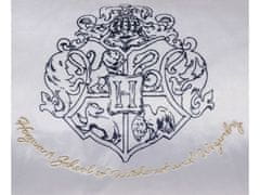 sarcia.eu Hogwart Harry Potter Stříbrný polštář se zipem 18x45 cm