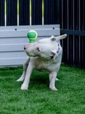 Japan Premium Hračka v podobě činky (tenisové míčky) pro psy středních plemen