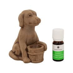Sotra Hnědý pes do sauny s vůní Eukalyptus Premium, 10 ml