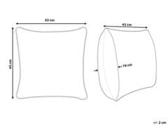 Beliani Bavlněný polštář pruhovaný 45 x 45 cm béžový/černý ABIES