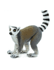 Safari Lemur kata