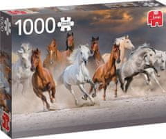 Jumbo  Puzzle Pouštní koně 1000 dílků