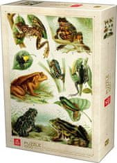 DEICO  Puzzle Encyklopedie: Žáby 1000 dílků