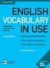 Redman Stuart: English Vocabulary in Use Pre-intermediate and Intermediate Book with Answers and Enh