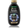 Očisťující šampon Botanic Therapy Magnetic Charcoal (Balancing Shampoo) (Objem 250 ml)