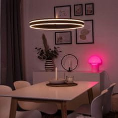 PAUL NEUHAUS PAUL NEUHAUS Q-VITO, LED závěsné svítidlo, Smart Home, průměr 59cm ZigBee 2700-5000K PN 8411-13
