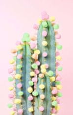 Ravensburger Puzzle Moment: Kaktus 200 dílků