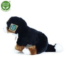 Rappa Plyšový pes bernský salašnický sedící 25 cm ECO-FRIENDLY