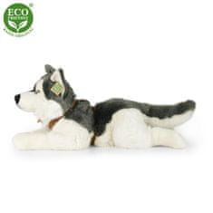 Rappa Plyšový pes husky s obojkem ležící 60 cm ECO-FRIENDLY