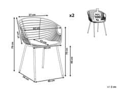 Beliani Sada 2 kovových židlí stříbrná HOBACK
