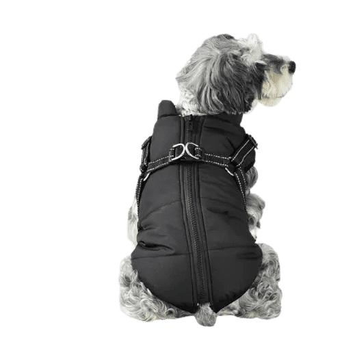 Cool Mango Bunda pro psy s reflexními popruhy – Dogjacket