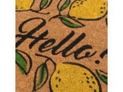sarcia.eu Kokosová rohožka, PVC domácí rohožka se vzorem citronu, nápis Hello 40x60cm
