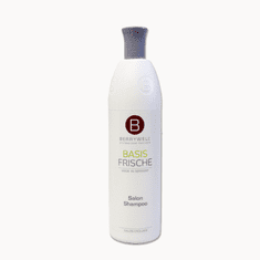 Berrywell Šampon pro každodenní péči Basis Frische Salon Shampoo 1001 ml